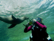 Baja California, Mexiko, Foto: Wolfgang Kruder