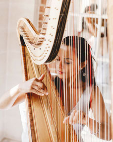 exposé harpe