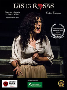 las 13 rosas teatro