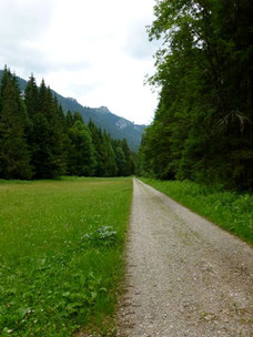 Geradliniger Weg
