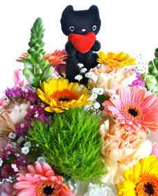 メのことが大好きだったカモちゃんからのお花 メがまるで虹の橋にいるみたいです。
