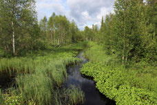Endspurt durch Schweden