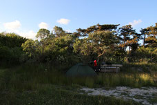 Erstes Camp in Gedser