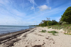 Dänische Strandlandschaft