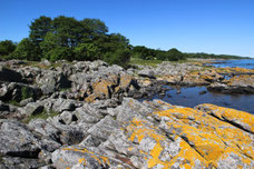 Felsen an der Ostküste