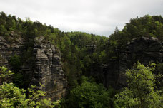 Felsen im Elbsandsteingebirge.