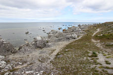 Blick auf die Küste von Fårö