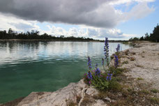 Blå Lagunen