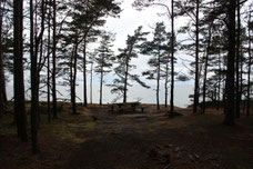 In den Wäldern Nordölands