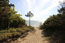Sandstrand an der Westküste
