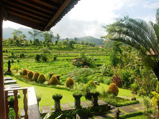 Mooie uitzicht vanuit de kamers van het Sawah Indah villas