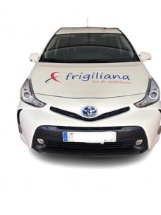 Frigiliana taxi Malaga airport