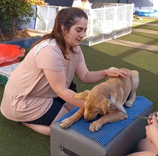Práctica Profesional CityDogs PUPPY PLAY