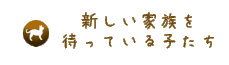 新しい家族を待っている子たち