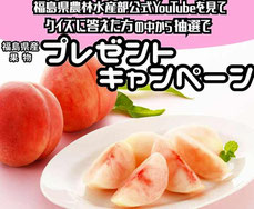 福島県フルーツ プレゼント