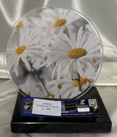 Marguerites - 145 €