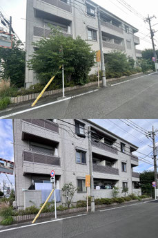 立川市で伐採する植木屋「纏造園」