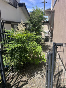 八王子市で剪定する植木屋「纏造園」