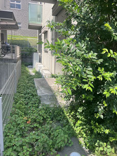 横浜市青葉区で除草する植木屋「纏造園」