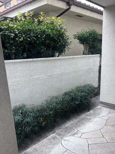 目黒区で剪定する植木屋「纏造園」