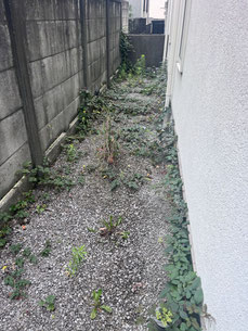 目黒区で除草する植木屋「纏造園」