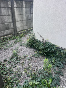 目黒区で除草する植木屋「纏造園」