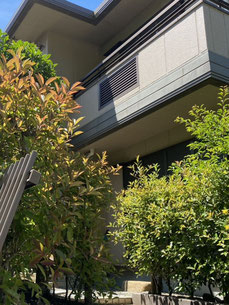 八王子市で剪定する植木屋「纏造園」