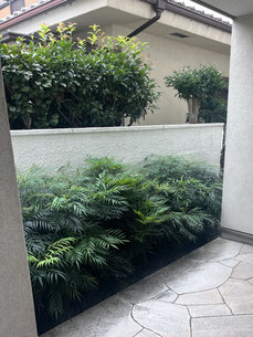 目黒区で剪定する植木屋「纏造園」