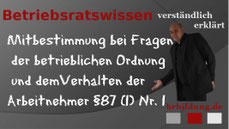 Mitbestimmung bei Fragen der betrieblichen Ordnung und dem Verhalten der Arbeitnehmer