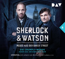 CD Sherlock & Watson Fall 6