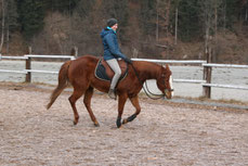 Natascha Leiler reitet im Galopp auf einem Pferd 