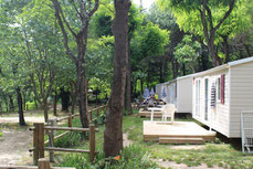 Les mobil-homes à Vallon Pont d'Arc, au bord de l'Ardèche, le lieu de départ idéal pour découvrir la Réserve des Gorges de l'Ardèche