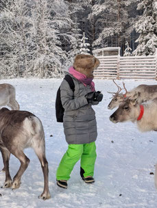 Traditionelle Rentierschlittenfahrt in Ranua, Lappland – Wintererlebnis mit Fellbedeckung und verschneiter Natur
