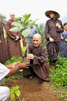 Thich Nhat Hanh