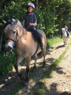 Pony Adventure