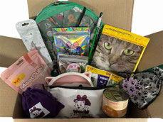 Hundehort Rudel-Treff Beispiel Miaubox - Überraschungsbox für Katzen