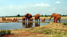 Tsavo East National Park