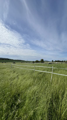 Sommerkoppel