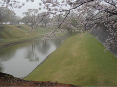 菊陽町、熊本城