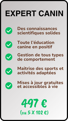 expertise-éducation-positive-comportement-canin
