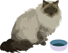 Futterdschungel.de