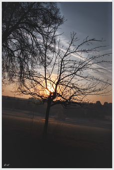 Die Sonne geht auf