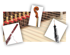 Tina Zweimüller,  Unterhaltung, Barock, Zelenka, Händel, Kammermusik, Ensemble, Mieten, Konferenz, Hochzeit, Geburtstag, Konzertreihe, Schaffhausen, Zürich, Winterthur, Fagott, Oboe, Cembalo, Geige, Violine, Triosonate, Musik, Event, Spass, Barock