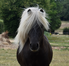Son père, Imohtep’Joke
