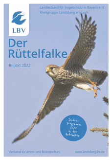 Rüttelfalke 2022 - das Jahresheft des LBV Landsberg