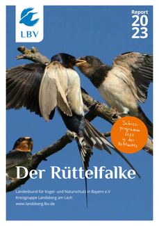 Rüttelfalke 2024 - das Jahresheft des LBV Landsberg