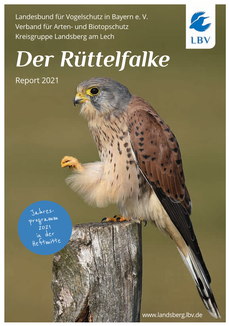 Rüttelfalke 2021 - das Jahresheft des LBV Landsberg