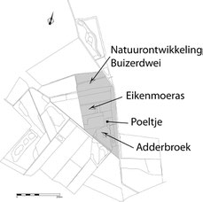 Adderbroek en Eikenmoeras