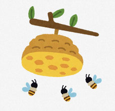 ミツバチの巣 イラスト
