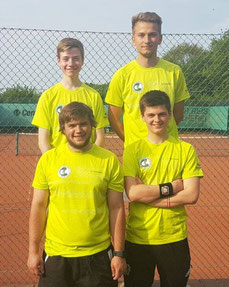 T.N.Hamann,D.Schulz,C.Strohbach,T.Hering